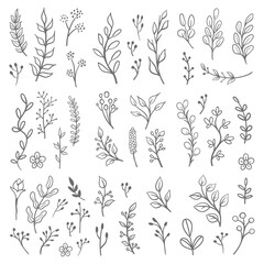 Hand drawn floral ornaments. Flowers and leaves doodle vector collection. Decorative plants illustrations. Nature decoration drawings handmade style.