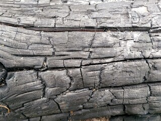 old wood texture
