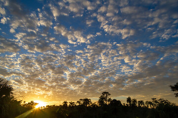 yellow and blue sunrise