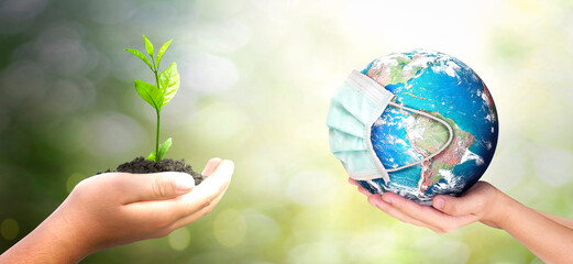 World environment day concept: hands holding earth globe and big tree over blurred nature background. Elements of this image furnished by NASA