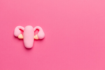 The female reproductive organ on pink is the uterus with ovaries. Copy space for text.