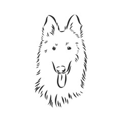 Sketch of Belgian Shepherd dog, Hand drawn illustration.