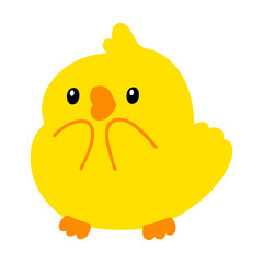 cute surprised baby bird