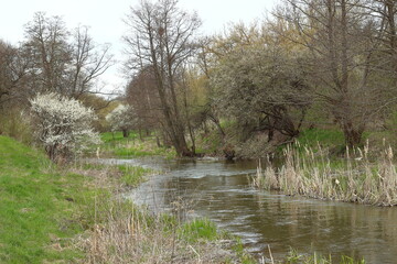 Spring landscape with the Bystrzyca River.