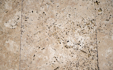 Pavement slabs as terrace covering with a strong structure can also be used well as a background