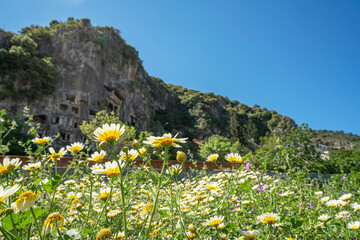 The scenic view of blooming daisies and the Tomb of Amyntas, also known as the Fethiye Tomb, is an ancient Greek rock-hewn tomb at ancient Telmessos, in Lycia, currently in Fethiye in Muğla.