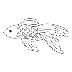 Handmade goldfish in doodl style. Vector illustration.
