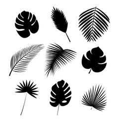 Black silhouettes of palm leaf Icon set Vector illustration of different exotic lush foliage isolated on white background
