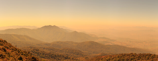 Panorama landscape photo of mountain hill and forest at sunset or evening time. warm light tone.