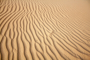 Sand of the desert as a background. Close up of dunes texture
