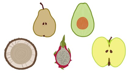 pear, avocado, coconut, fruit juice, apple illustration isolated on white background