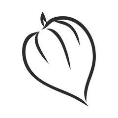 Physalis autotraced vector sketch, greyscale. physalis, vector sketch on a white background