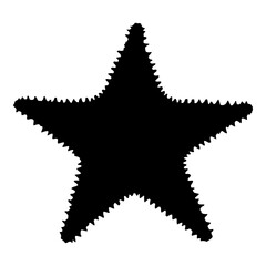 Starfish isolated black silhouette. Side view. Marine animal. White background. Vector illustration clipart.