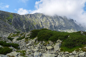Fototapeta na wymiar Scenery of high green mountains, sky with clouds. High Tatras Slovakia. Beautiful mountain landscape