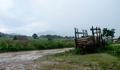 Fototapeta na wymiar countryside view of a tumbril in a rainy day