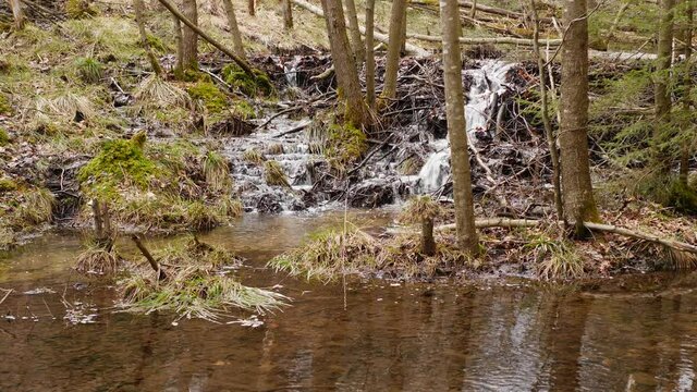 Wasserkaskaden - Fostelbach Biberteich