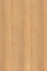 brown maple wood tree timber backdrop texture structure surface