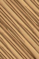 brown maple wood tree timber backdrop texture structure surface