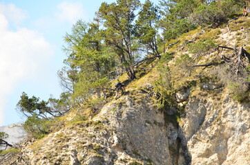 Karwendel Fluss stand up paddeln