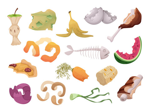 Waste foods. Recycling organic trash fruits meat vegetables fish bones waste exact vector illustrations isolated