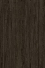 brown oak tree timber wood surface texture background wallpaper