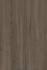 Naklejka premium brown oak tree timber wood surface texture background wallpaper