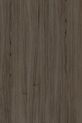 brown oak tree timber wood surface texture background wallpaper