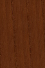 brown oak tree timber wood surface texture background wallpaper
