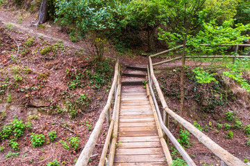 Obraz premium Stairs with wooden railing, in an outdoor park.