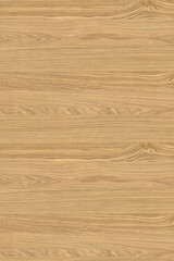 Fototapeta na wymiar brown oak tree timber wood surface texture background wallpaper