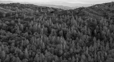 Majestic Winter  black and white landscape image view from Holme Fell in Lake District towards snow capped mountain ranges in distance in glorious evening light with Autumnal colors trees