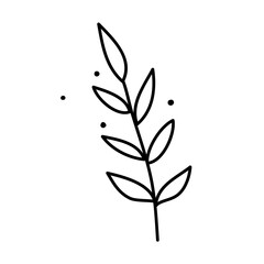 Twig with leaves.  Vector illustration in a cute doodle style is perfect for postcards, social media design or for a flower shop. Line art