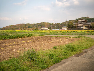 Fototapeta na wymiar 日本の農村の風景