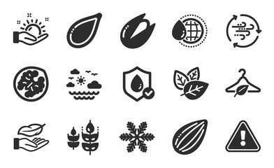 Wind energy, Pistachio nut and Almond nut icons simple set. Snowflake, World water and Slow fashion signs. Lightweight, Pumpkin seed and Travel sea symbols. Flat icons set. Vector