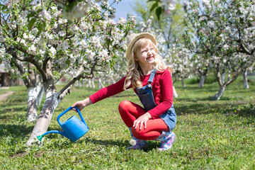 Little beautiful girl in the bay blossomed an orchard.  concept of gardening