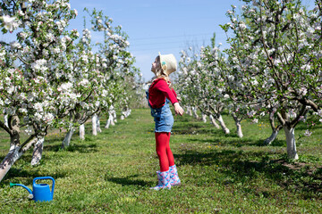Little girl is playing in a blossoming orchard