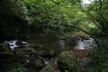 夏の岩屋堂公園、水場に流れ込む渓流の流れ