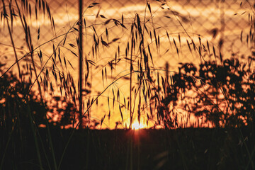 Obraz premium Sicilia