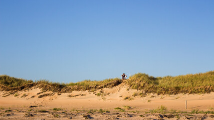 person in the desert