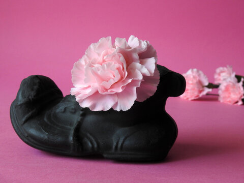 Shoe .