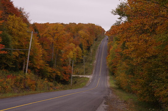 Haliburton forest road 2