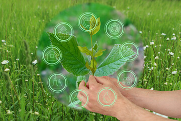 close-up of male hand holding green plant on background of grass, environmental icons safe of...