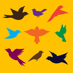 Colorful bird silhouettes isolated on yellow background.