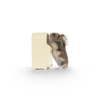 Hamster Eating Out Of A Tiny Fridge 4