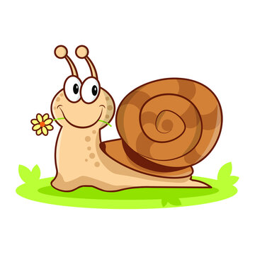 Cute snail on a white background. Cartoon style of animal. Snail with flower. Flat vector illustration. 