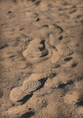 Fototapeta na wymiar Clear footprints in the sand