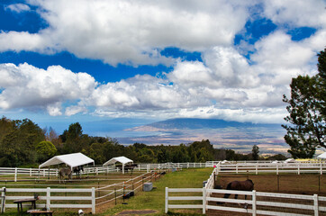 Fototapeta na wymiar View from upcountry horse ranch in Kula of the west coastline of Maui.