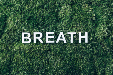 Word Breath on moss, green grass background. Top view. Copy space. Banner. Biophilia trend. Nature backdrop. Peace of Mind, health concept. Take a deep breath. Health, wellness concept