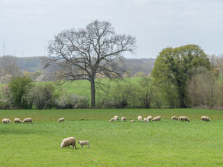 Das Dorf Darfeld in den Baumbergen