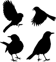 set of four small birds black silhouettes